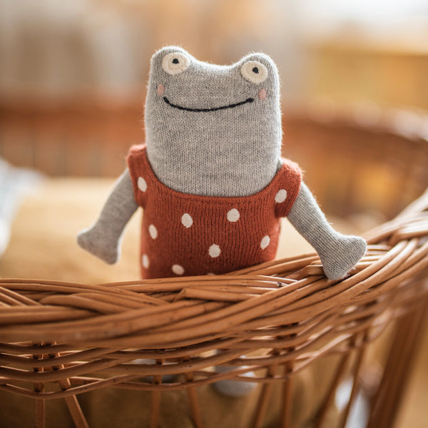 Ava & Yves - Babyrassel Baumwolle (bio) Frosch