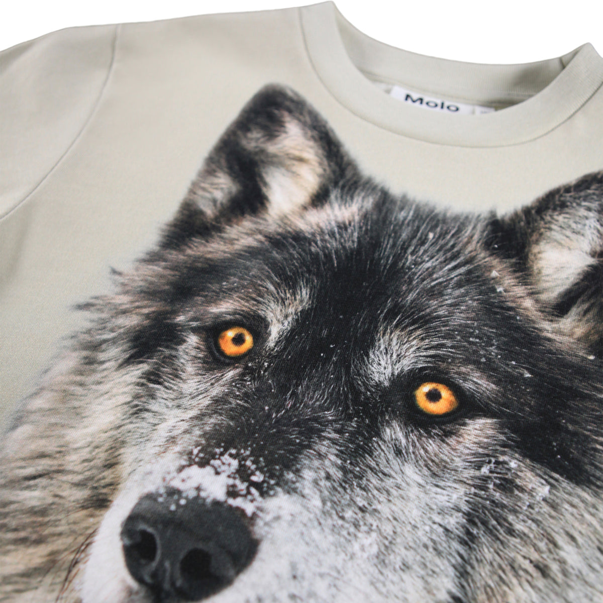 Molo - Kinder / Jungen Sweatshirt „Two Wolves“ - Detailbild