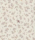 Hust &amp; Claire - Baby Bambusbody Bonni